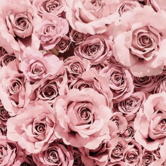 Meet your Posher, Sydney - Picture 1 of 1